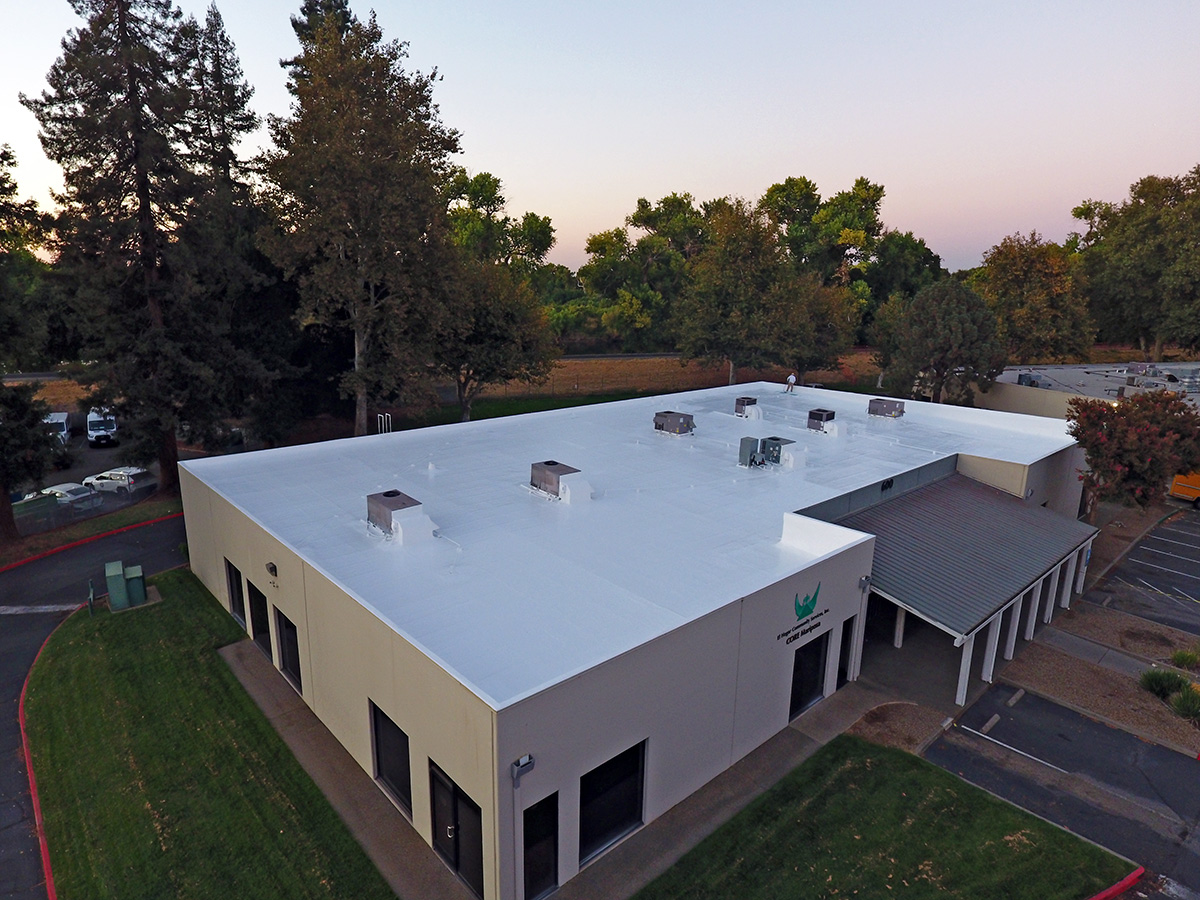 600 Bercut acrylic roof 2